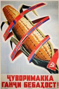 PP 945: Corn is a priceless treasure!